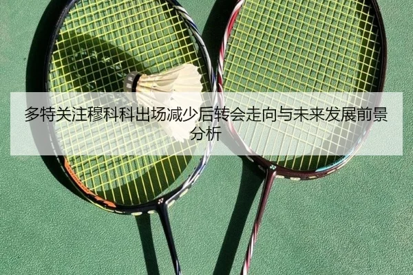 多特关注穆科科出场减少后转会走向与未来发展前景分析